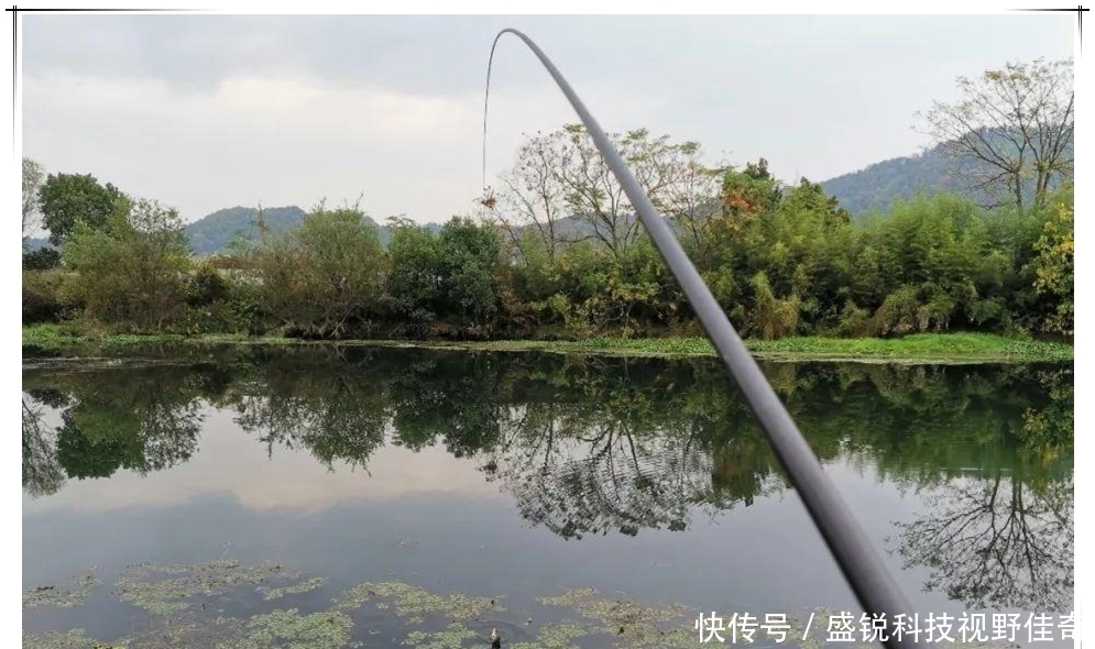 春末夏初巧寻板鲫:学会变通,找对方法