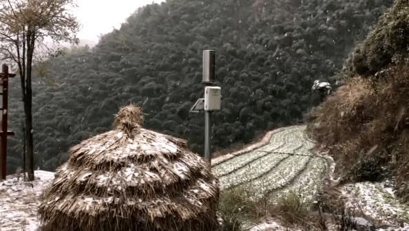 雪景|丽水这些地方下雪了，美炸了~最新雪景美图，请签收