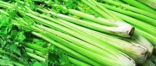 延缓衰老|女人都想有个好皮肤,可常吃以下蔬菜,祛皱润肤,延缓衰老