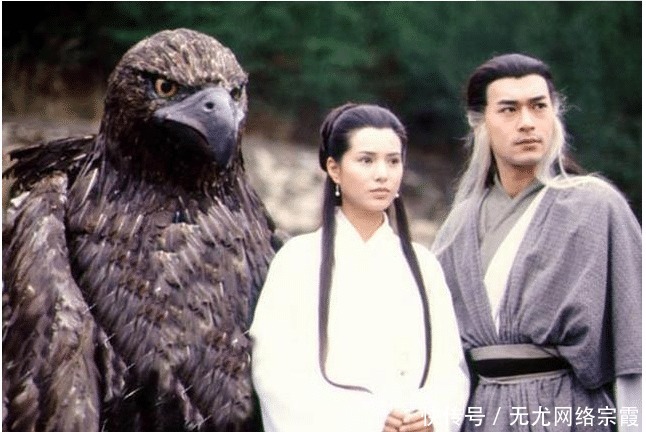 究竟|一见杨过误终身,郭襄究竟多爱杨过?从她为徒弟取的名就可以看出