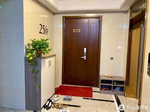 电梯|走廊放鞋柜常见,但还是第一次见这么和睦相处,你觉得这样好吗?