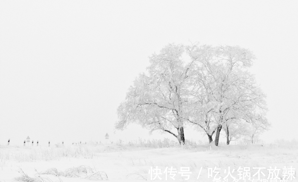 天秤座|绝对不会将就自己感情的星座：绝不和和自己不喜欢的人在一起