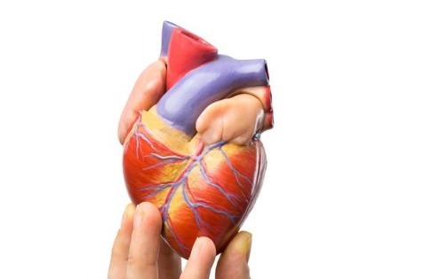 冠状动脉|冠心病的元凶找到了！避免这3点，有效减少冠心病风险