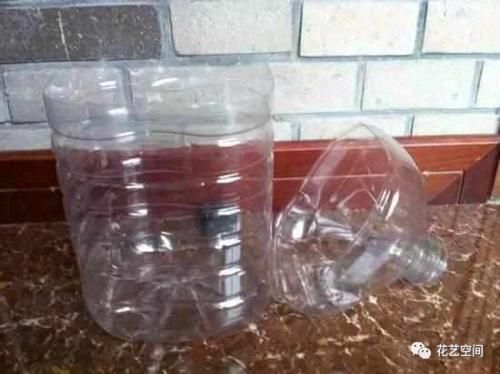 养花全靠“捡”，出门遇见这些东西捡回家，都是养花的宝贝！