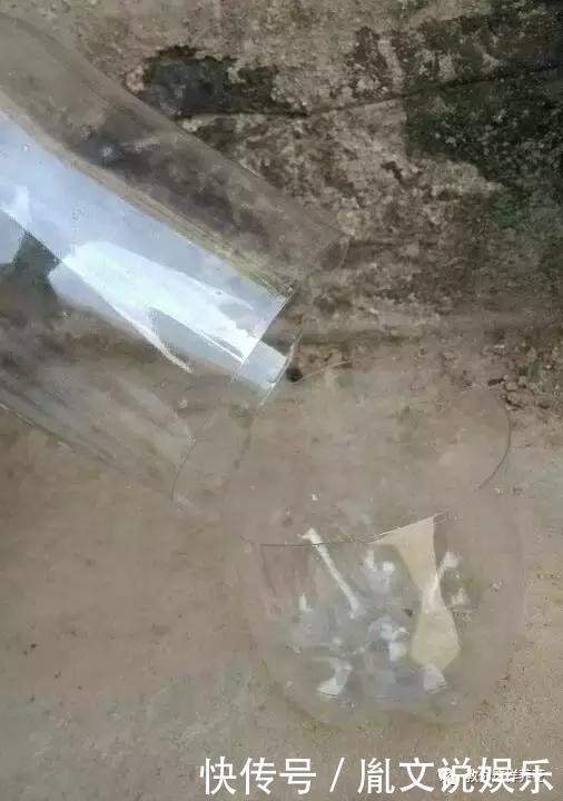 塑料瓶别扔了,用来养花真是神器!可别浪费了!