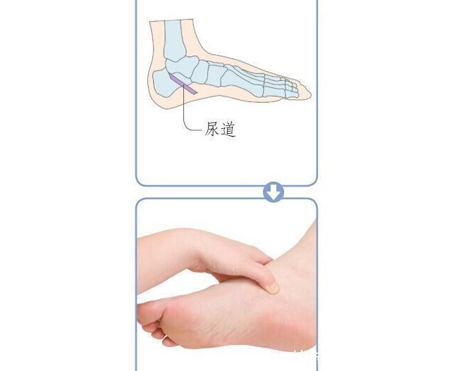 足底|揭秘足底养生密码10个特效反射区,活血通络补五脏,通调全身病