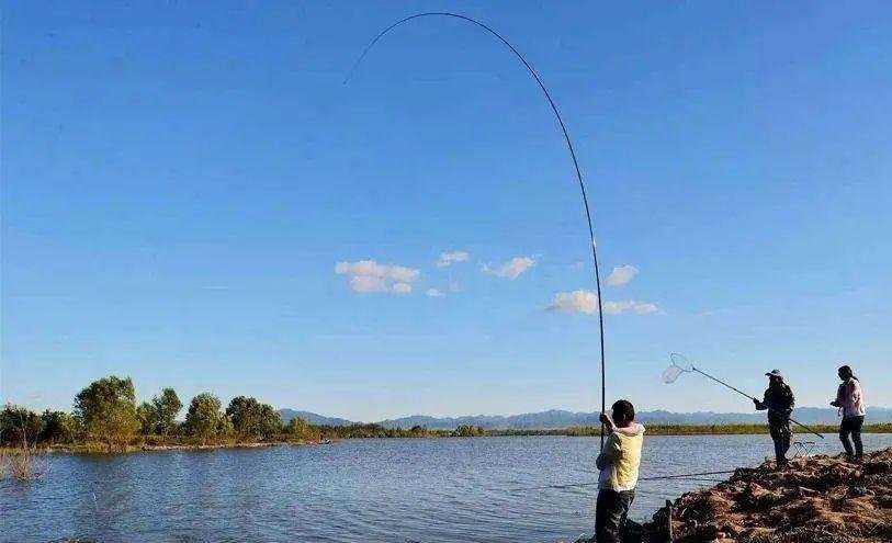 鲤鱼垂钓技巧：钓鲤鱼观漂、提竿、遛鱼、抄捞技巧