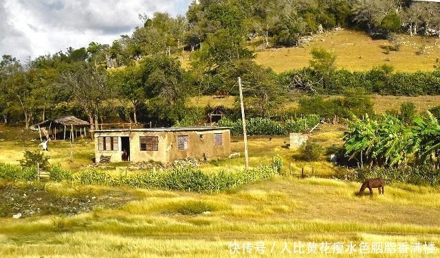 无用功|探究丨努力不一定有结果,你还会为某件事不懈努力吗