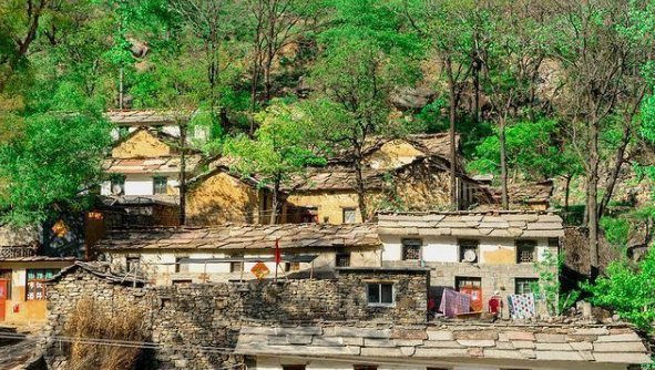 当成|老农捡得一个盆,当成烟灰缸3年,他用2包烟买下,最后卖了180万