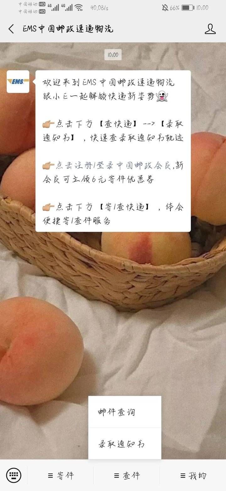 招生信息网|录取通知书来了！来赴一场与山东中医药高等专科学校的秋日约会