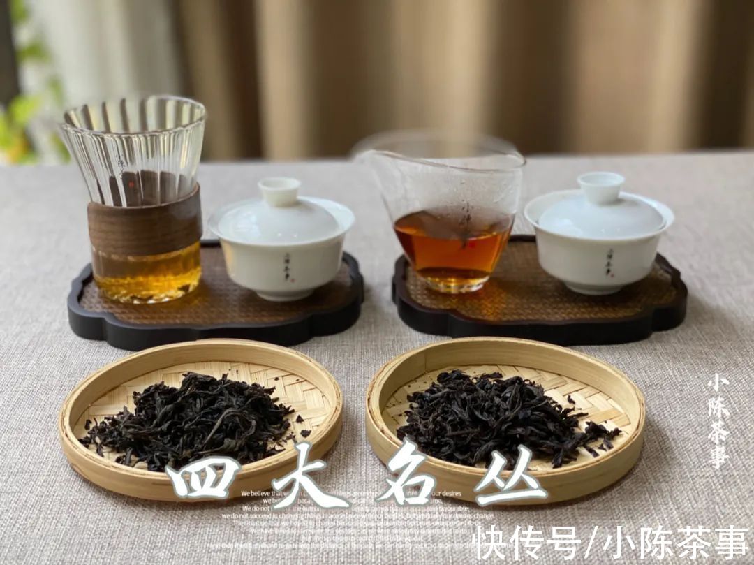 岩茶#从铁罗汉、水金龟、半天妖，再到白鸡冠，四大名丛见证岩茶的历史