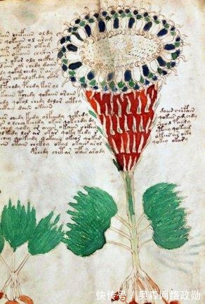 metro$这本“天书”600年来无人能解,如今终于看见了希望