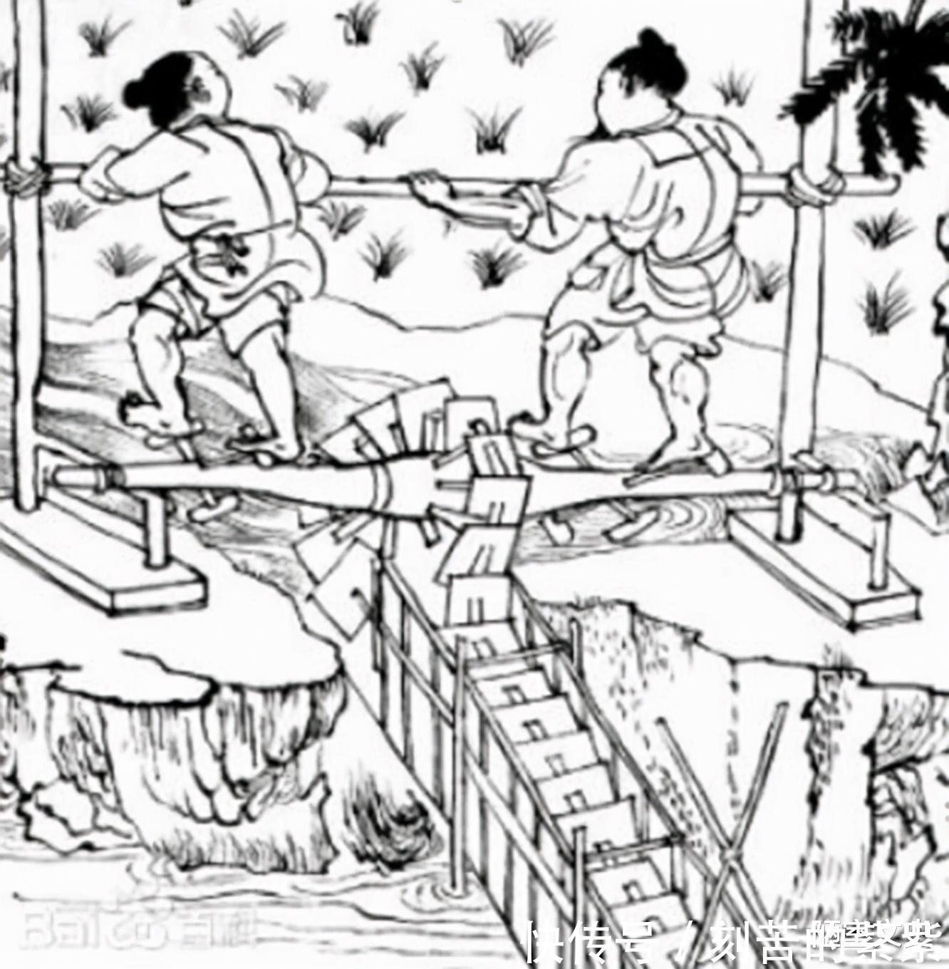 书籍&中国最不该禁的2本古书,清朝因此走下坡路,欧洲日本靠它们富强