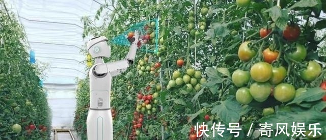 机器视觉|国内首发!高新这款人形智能机器人正式“上岗”