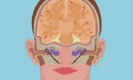 前庭神经炎|耳源性眩晕的特点，您知多少？