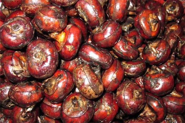 菠萝|人到中年不得已,3种食物多吃点,补血益气,滋养身体,好处多多