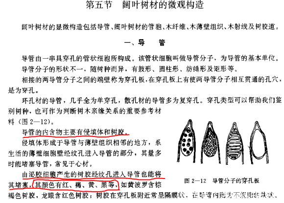 物质|小叶紫檀棕眼里的黑色物质到底是什么?