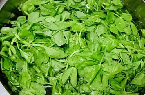 視力不好多吃這菜，隔天吃一盤(pán)，營(yíng)養(yǎng)極高，視力清晰了，雙眼變明亮