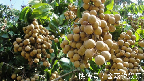 排毒食物|女性多吃四种排毒食物,延缓衰老,越吃子宫越干净