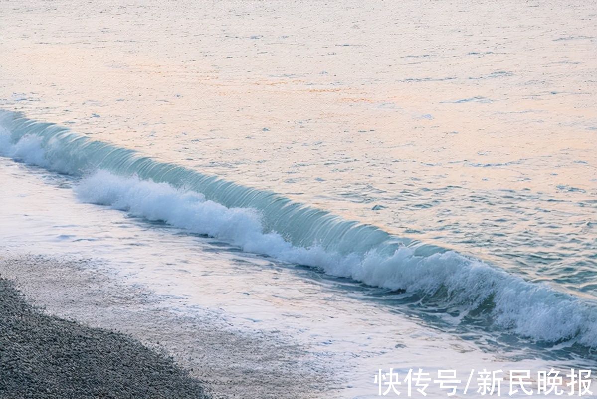 又是一年海泳归|七夕会·健康 | 老伴