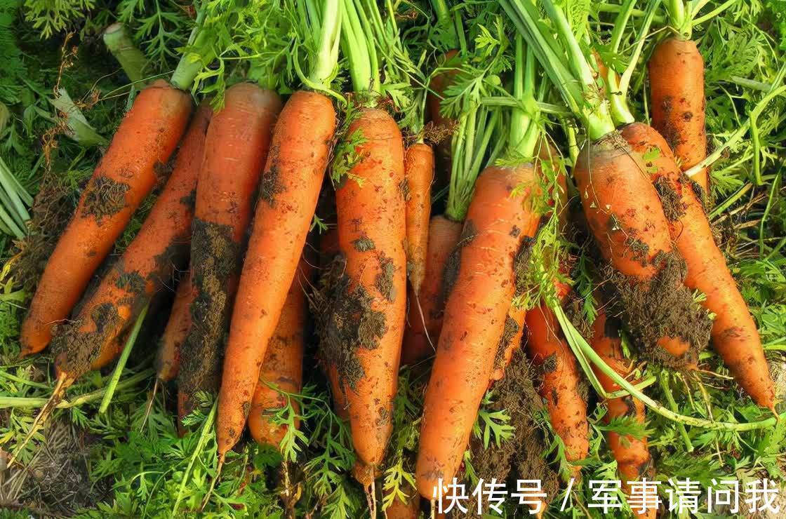 肌肤|想变年轻,秋天多吃的食物,营养肌肤,使人白嫩,越吃越年轻