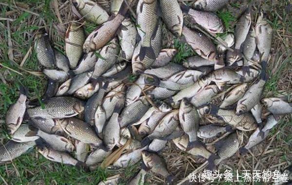 冬季钓鱼技巧风向与钓鱼的关系，冬季什么风向鱼最好钓