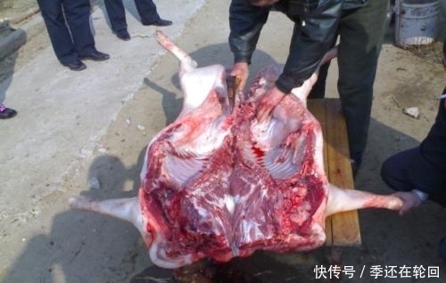 东北|舌尖上的美食-正宗东北杀猪菜