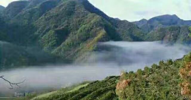  谋于|《战国策》成大功者不谋于众