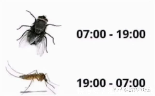 |开心一笑,爆笑图片段子:快睡觉!大晚上我上哪儿给你找公猫去