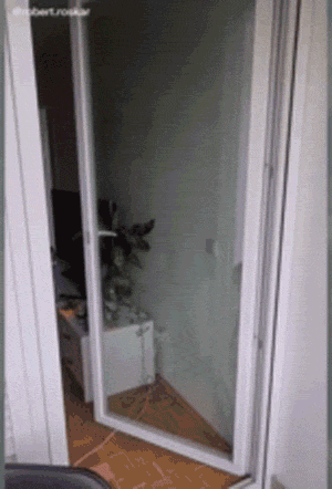 |搞笑笑话,动图:当模特真不容易啊!