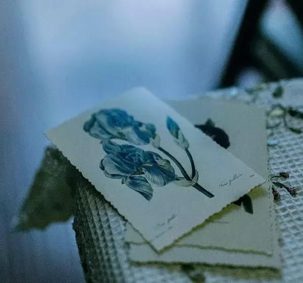 名言警句 领悟人生的正能量句子 快资讯