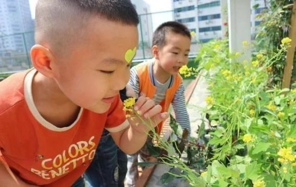 这几种娃在幼儿园小班不受宠，到了中班就开始逆袭，简直一路开挂