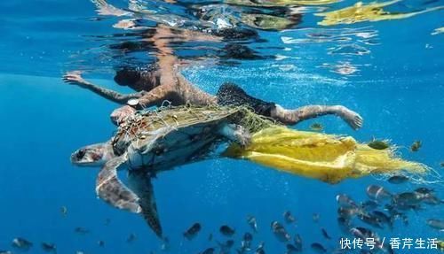 物种 6000米深海中发现新“物种”,科学家却高兴不起来,这是为何