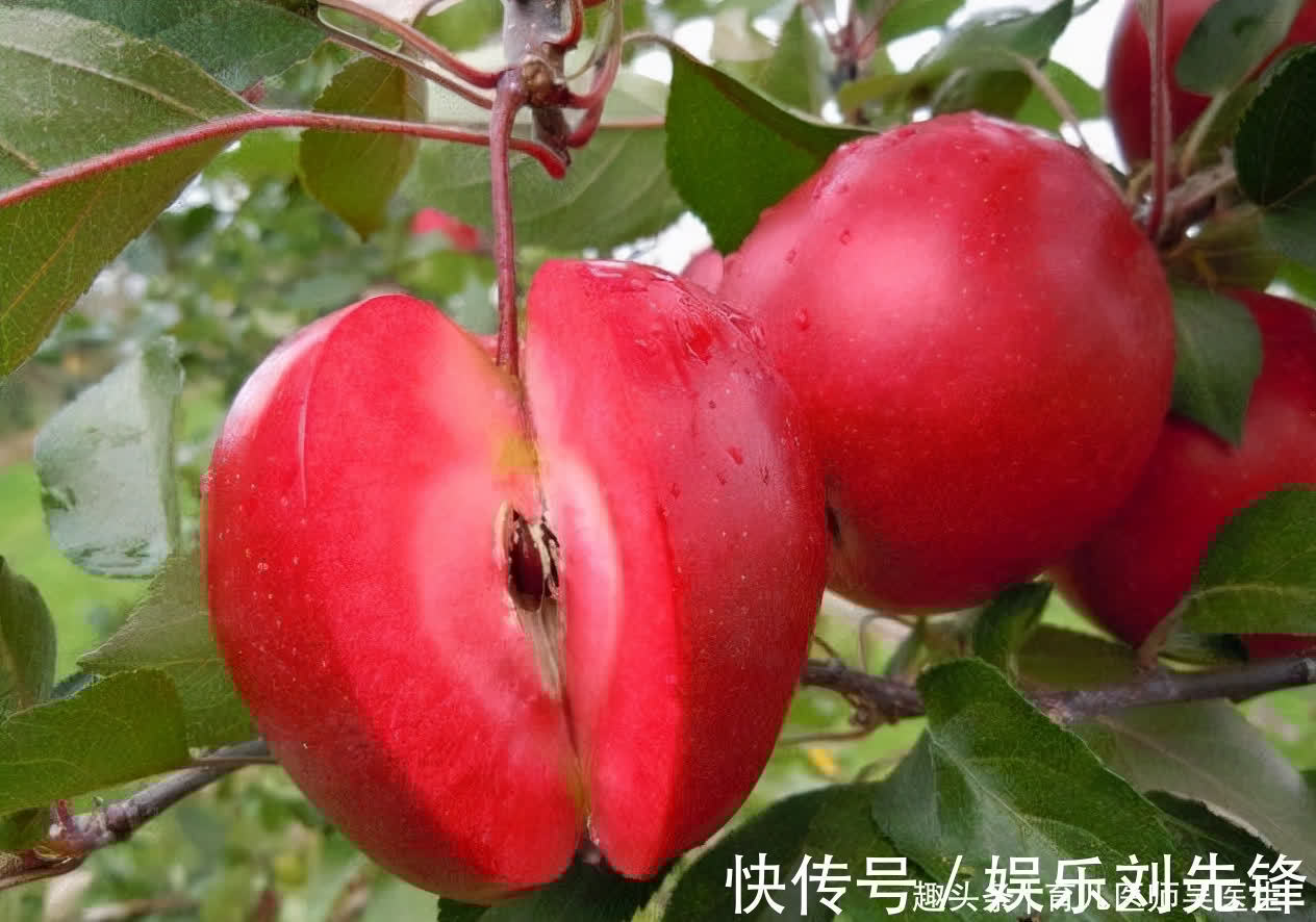 保湿|秋天人人爱美，推荐多吃的食物，皮肤更细腻，养颜美容，身体好