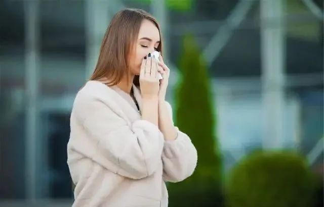 蒲公英,是低调的“养生高手”,谨记“六搭配