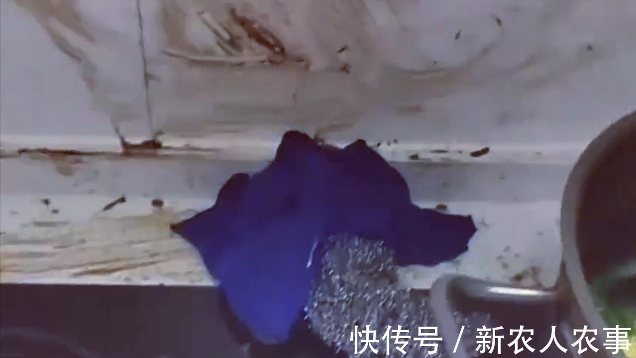 飙升|血压飙升!妈妈有事让爸爸带娃,一天后进门那刻崩溃:还是家吗?