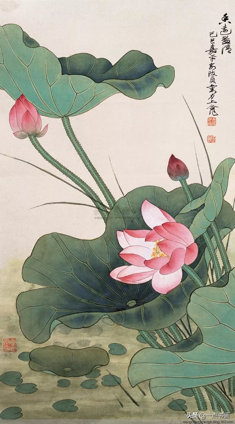 芙蓉#俞致贞 画荷，芙蓉出水，风情无限