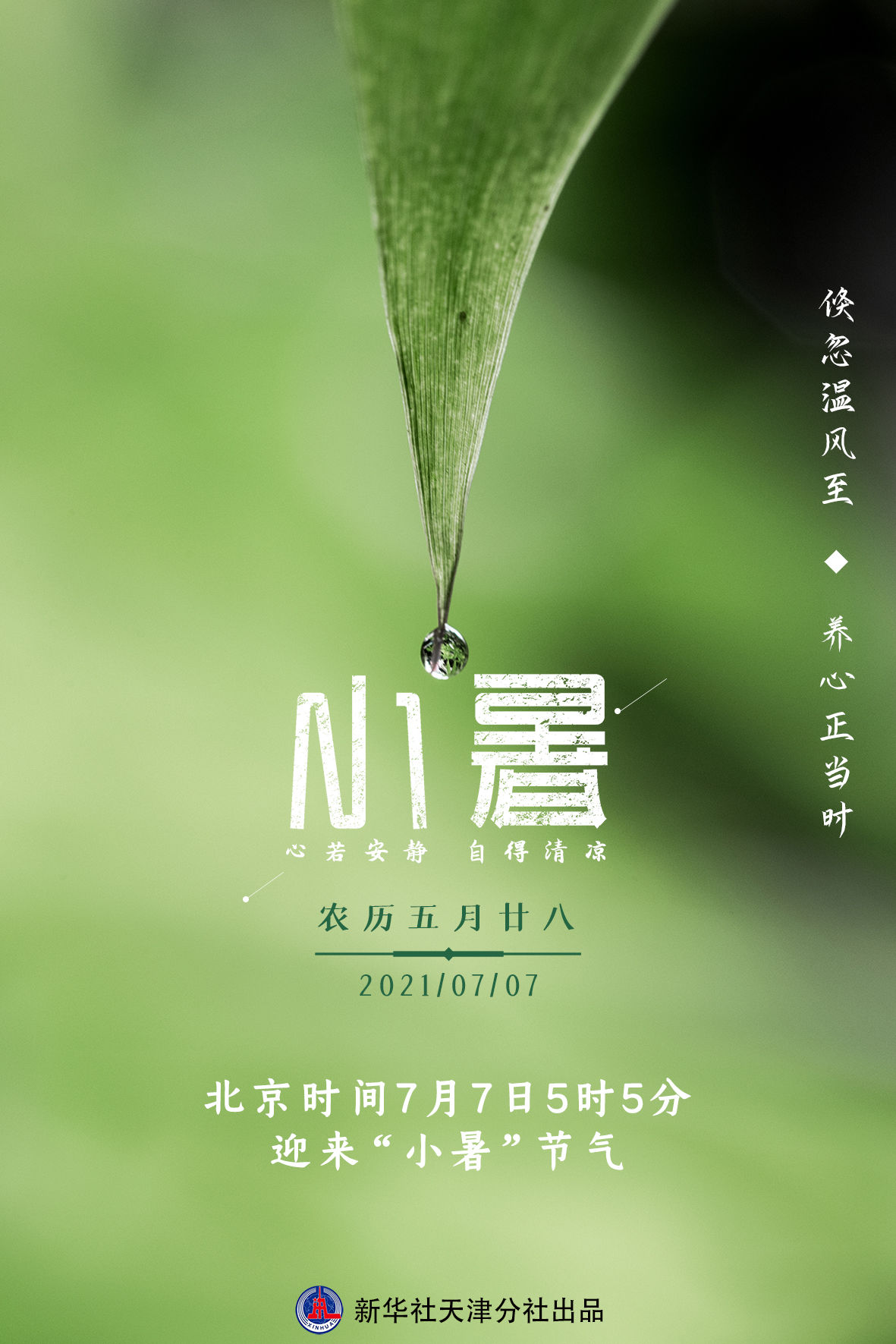 罗澍伟|7日小暑：“三伏”启幕