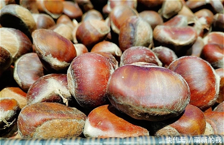 到底|买板栗时,到底选扁的还是圆的?老农这样说,原来这么多人选错了