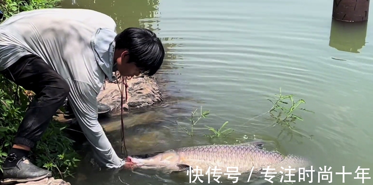 可惜!小伙东江钓了条大青鱼,有人3000预定,结果人没到鱼就死了