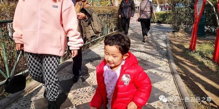 春暖花开，泉城市民逛街赏景乐开怀……