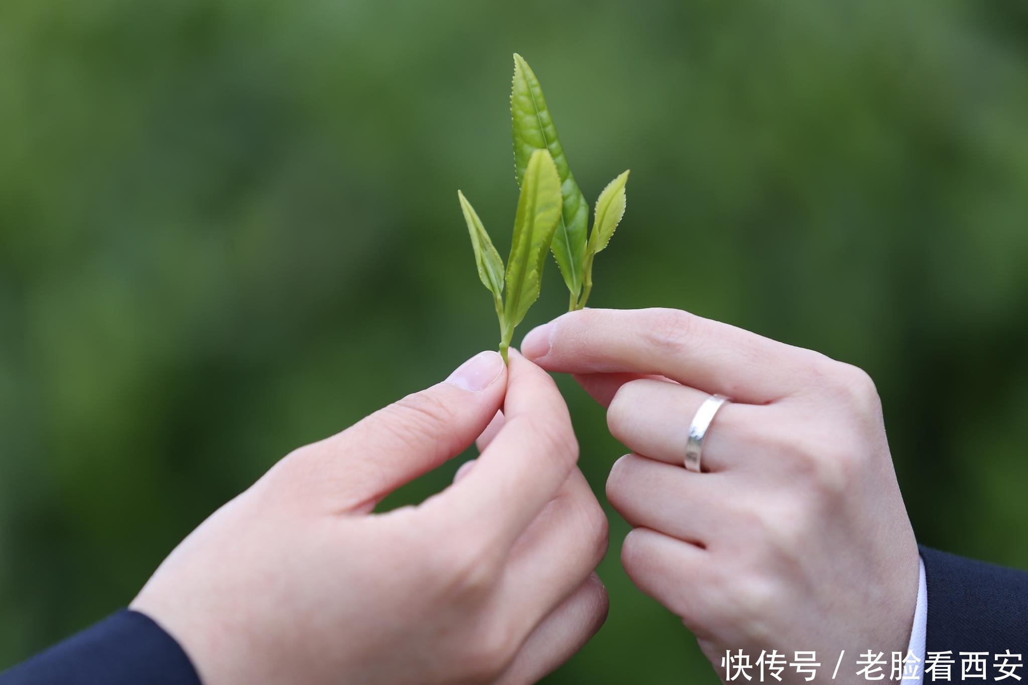 竹竿舞|原汁原味原生态 山美水美人朴实 一处去了就有印象的地方——镇巴