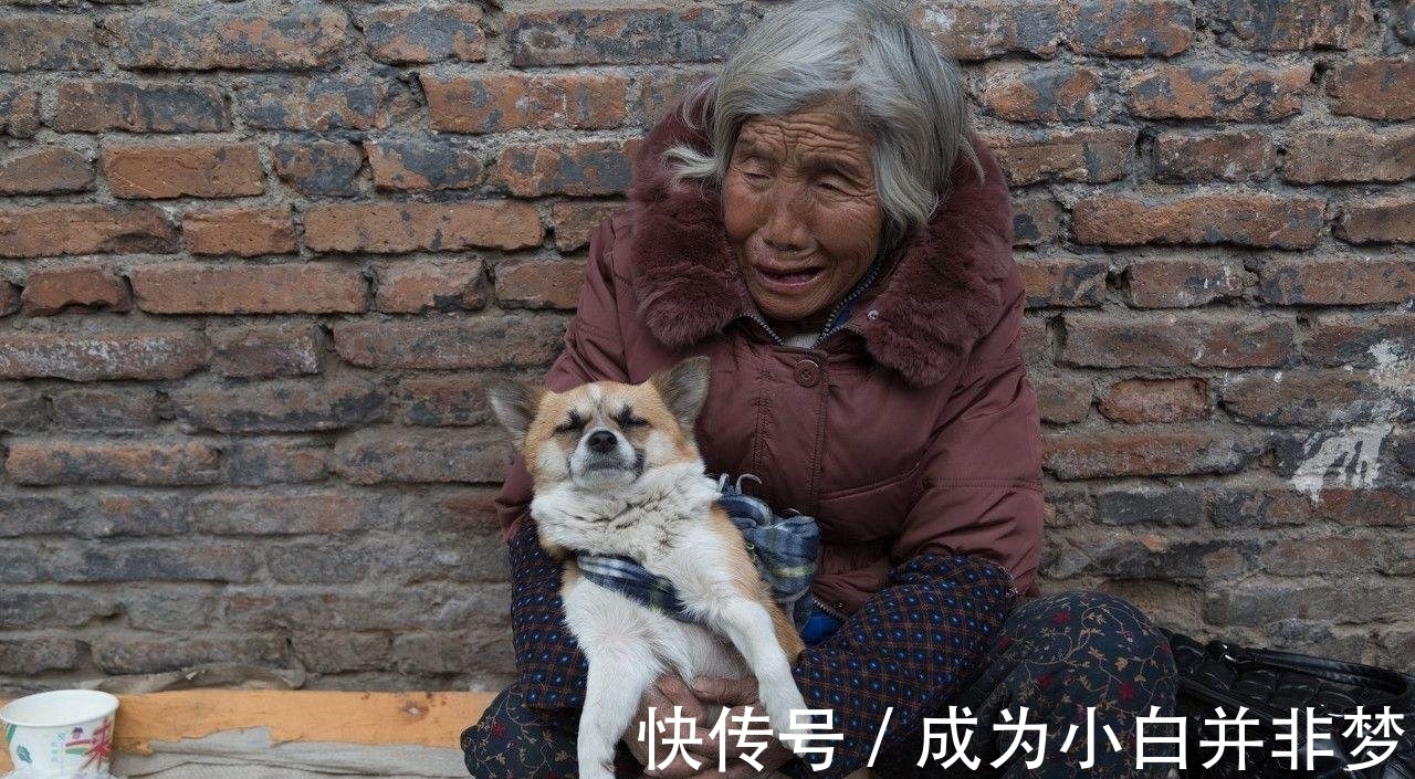 幸福|夫妻选择“丁克”,晚年会过得幸福吗?4位老人说出了大实话