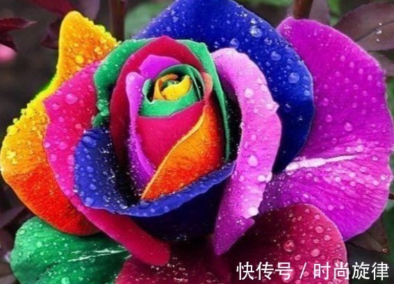 最会穿衣打扮的三种生肖女,有气质颜值高,男人要了解