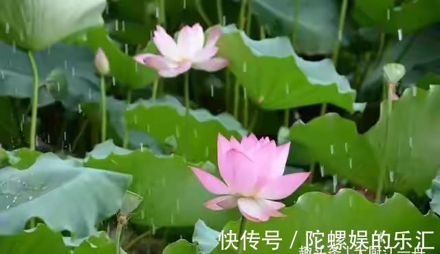 中伏|头伏、中伏、末伏哪个伏最热,究竟是为什么呢?看完后,长知识了