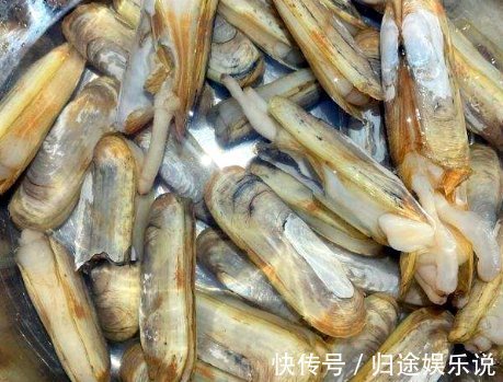 啤酒|15块钱一斤，三伏天我常给家人吃，补铁还补钙，简单一炒鲜又香