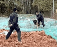 |搞笑GIF:花大价钱来看的表演 你们说我是不是被骗了