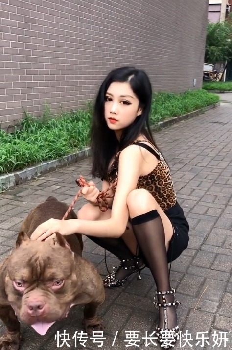 气质|美女你野性的气质跟这条霸气的狗很搭配!