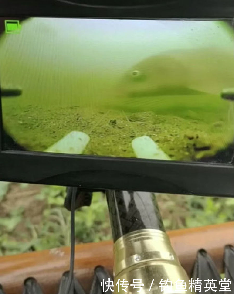 这种钓鱼方式在北方的冬天特别盛行,为什么被很多人不齿