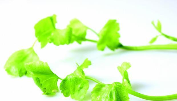 荷兰芹|十种食物,家里条件再不好也要给孩子吃,不然影响孩子变聪明